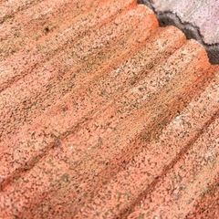 庭づくりにぜひ！⭐️レンガお譲りします！19こ！の画像