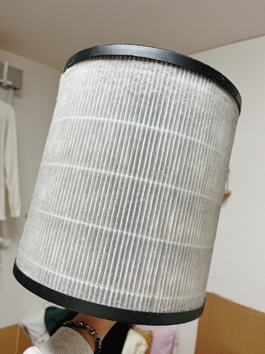 取引方決まりElectrolux空気洗浄機