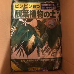 観葉植物の土　　