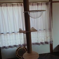 突っ張り式キャットタワーの画像