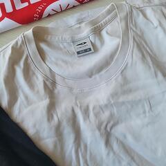 Tシャツ　女性Ｍサイズの画像