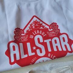 Tシャツ　女性Ｍサイズの画像