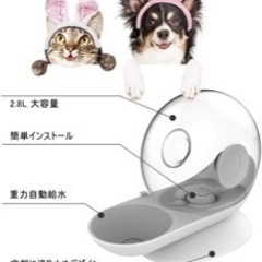 水飲み　犬　猫　自動給水器　お留守番　フィルター付きの画像