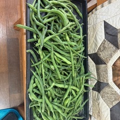 インゲン　1キロ