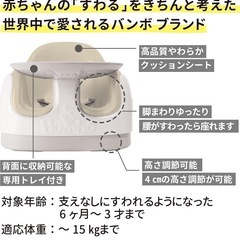 バンボ　マルチシートの画像