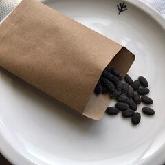 無農薬無化学肥料へちま種 5粒