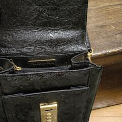 オーストリッチ　ショルダーバッグの画像