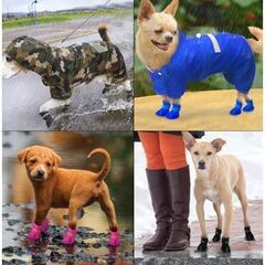 ドッグシューズ（新品）Lサイズの画像