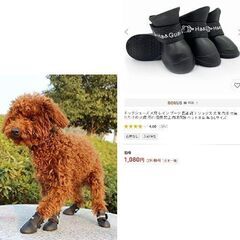 ドッグシューズ（新品）Lサイズの画像