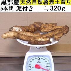 すぐにお渡しできます ♪黒部産・超粘り！赤土粘土の典型的天然自然...