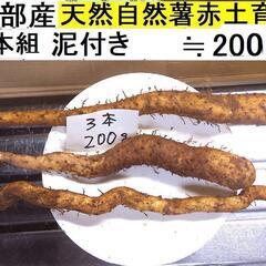 すぐにお渡しできます ♪黒部産・超粘り！赤土粘土の典型的天然自然...
