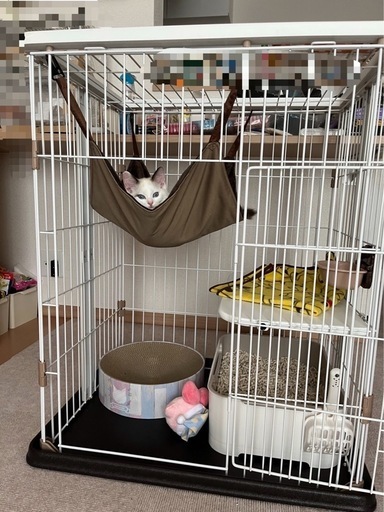 猫ちゃん用ケージ
