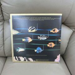 スティービーワンダー ミュージックエイリアム LP レコード 帯付き STEVIE WONDER ブックレット付き 札幌市 西区の画像