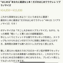 美品【YouTubeで人気！ガズレレウクレレ】の画像