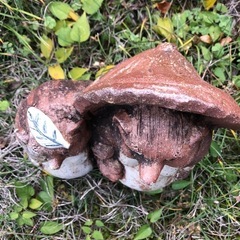 狸置物の画像