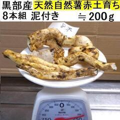 すぐにお渡しできます ♪黒部産・超粘り！赤土粘土の典型的天然自然...