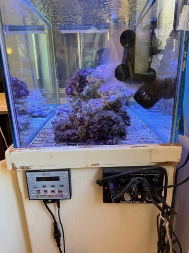 最終値下げオーバーフロー水槽