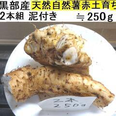 すぐにお渡しできます ♪黒部産・超粘り！赤土粘土の典型的天然自然...
