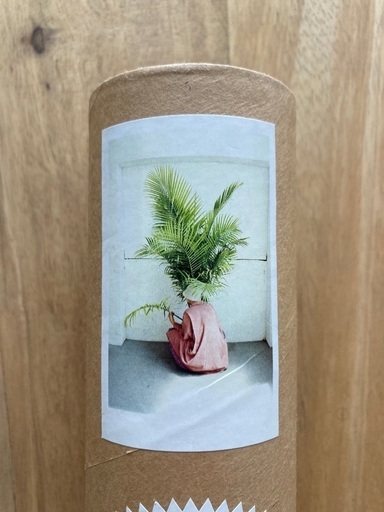 ロンハーマン　CLÉMENT PASCAL アート作品 植物