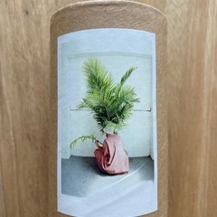 ロンハーマン　CLÉMENT PASCAL アート作品 植物