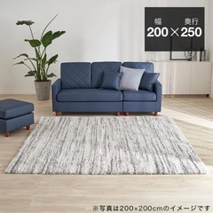 ウィルトン織 ラグ 200x250cm
