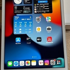 iPad mini4 Cellularモデル 128GB   