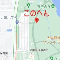 【2024/11/29(金)夜】焚き火を眺める会【参加無料・入退場自由】 - その他