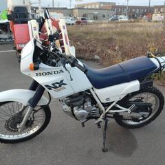青森市発☆希少　原付　二種　ホンダ　NX125　JD09　１２５ｃｃ　ビンテージオフロード車　動作確認済み　書類有の画像