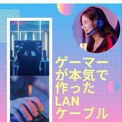 Roddy lan　 3m cat8 高速有線lanケーブル CAT8の画像