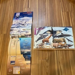 ③ 絵本　13冊セットの画像