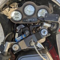 RG250Γ GJ21B 3型　ヨシムラカラーの画像
