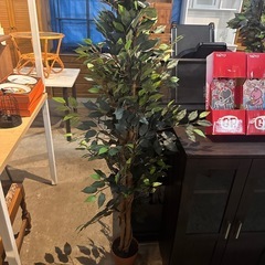 造花　観葉植物