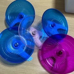 ハムスター ランニング