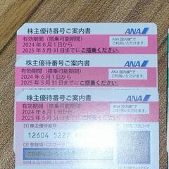 ANA株主優待