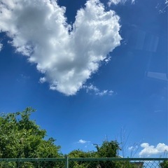 お散歩メンバー募集🌈