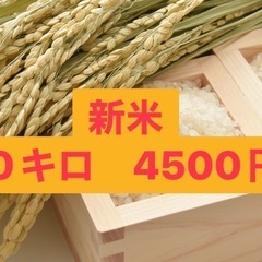 新米🌾10キロ　4500円❗️