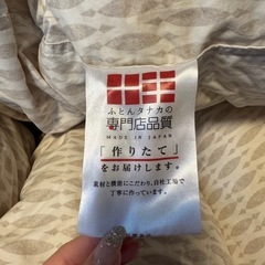 
羽毛布団　掛け布団　タナカ専門店　　の画像