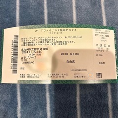 WTTファイナルズ福岡ダブルス決勝2024年11月23日チケット