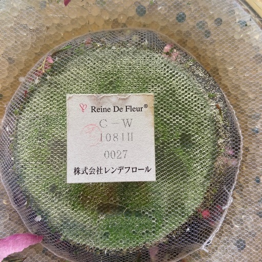 ボトルブーケ