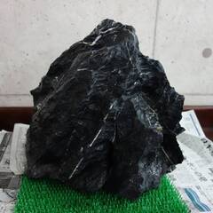ＡＤＡ 龍王石 ＸＸＬ 親石 特大良型 ネイチャーアクアリウム ビオトープ などにの画像