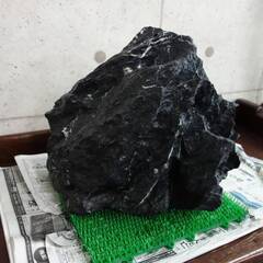 ＡＤＡ 龍王石 ＸＸＬ 親石 特大良型 ネイチャーアクアリウム ビオトープ などにの画像