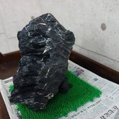 ＡＤＡ 龍王石 ＸＸＬ 親石 特大良型 ネイチャーアクアリウム ビオトープ などにの画像