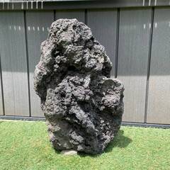 未使用 ADA 雲山石 XXL 溶岩石 親石 特大良型 高さ５４...