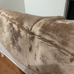 円形ラグ180センチ　ニトリNウォームの画像