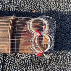 お琴譲りますの画像