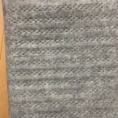 電気カーペットの画像