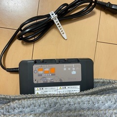 電気カーペットの画像