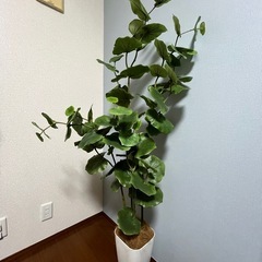 人工観葉(フェイクグリーン)