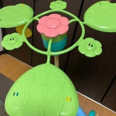 プーメリーの画像