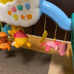 プーメリーの画像